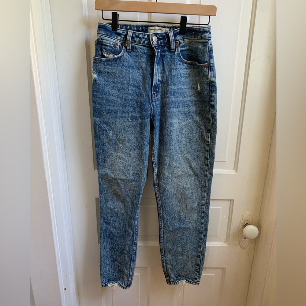 Abercrombie & Fitch Curve Love The Mom High Rise Jeans Size 2